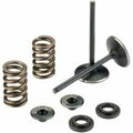 Outlaw Racing Exhaust Valve Kit OR5237-EK